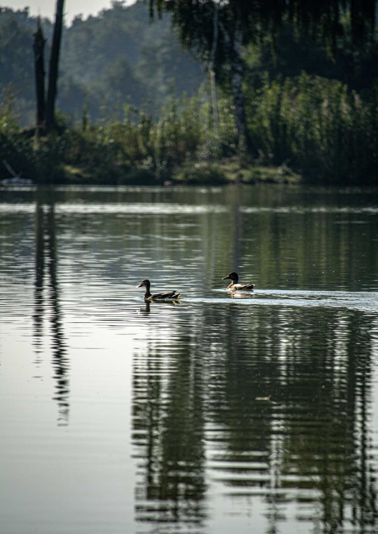 2023 Photo 25